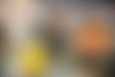 WORLD MEETING OF FAMILIES: VOLUNTEERS PACKAGE 200,000 MEALS FOR WEST AFRICAN FAMILIES IN NEED