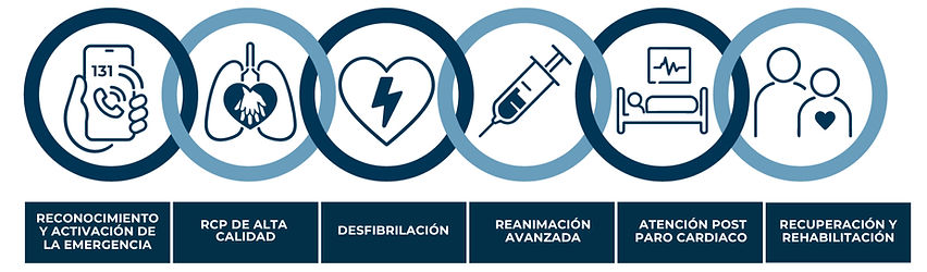 CADENA SUPERVIVENCIA ACTUALIZADA