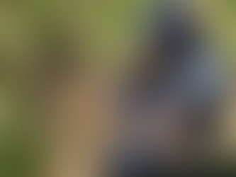 Anticiper pour mieux protéger la vigne