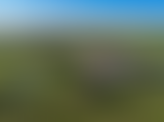 Témoignage client : Château Calon Ségur, Grand cru classé à Saint-Estèphe