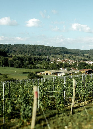 ouvrees de melaire - vigne de haute-marne