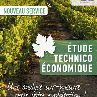 Nouvelle Prestation : Étude Technico-Économique viti-vinicole