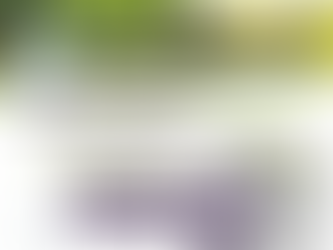 Accompagnement à la Labellisation Vignerons Engagés