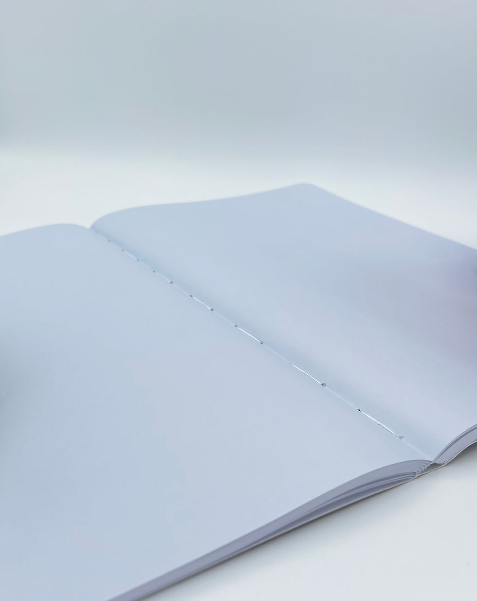 Thumbnail: CEO Meeting Notebook
