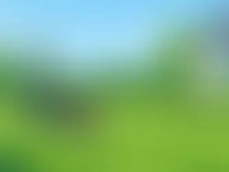Lawn Mowing That Keeps Your Yard Looking Its Best