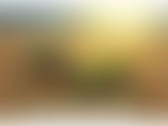 Jornal TV agricultor sempre produzindo pro progresso do Brasil