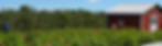 DSC_3476.jpg