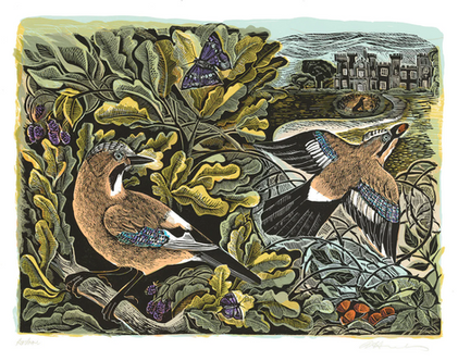 Angela Harding - ‘Knepp Jay and Oak Tree’