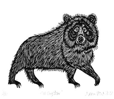 Alison Read - 'The Shy Bear'