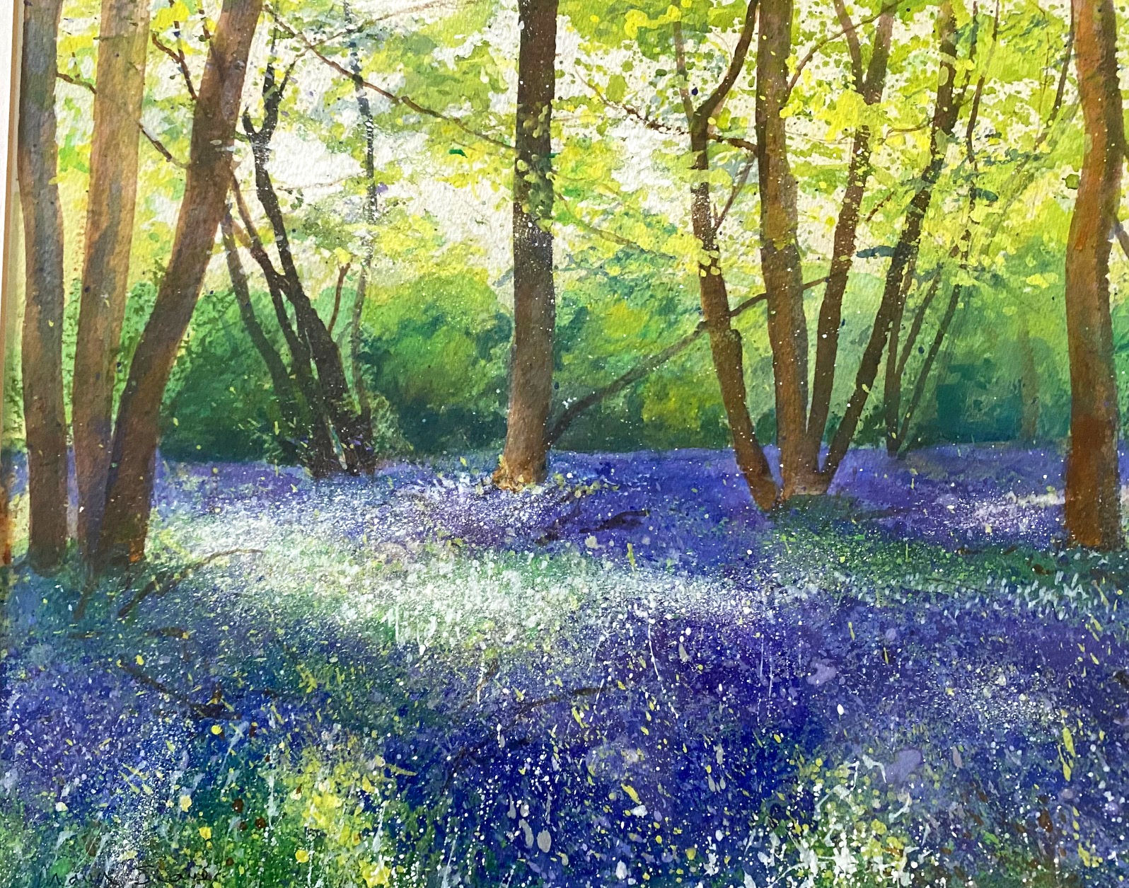 Marion Shave - 'Howe Wood'