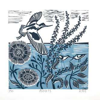 Avocets - Kate Heiss