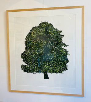 John Colliety - ‘Aesculus Hippocastanum’ (Horse Chestnut)