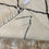 Thumbnail: Moroccan rug Hand knotted - Beni ourain rug - all wool berber rug - Custom rug