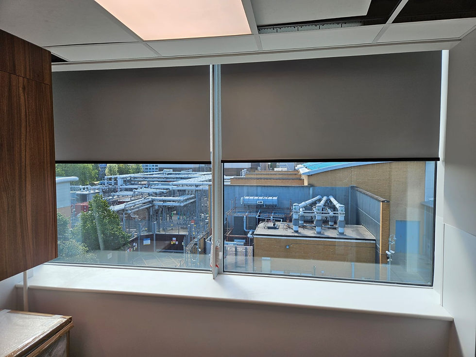 156c8d7e-5eb1-4c0b-96eb-d0d9c77507d6 (1).jpg