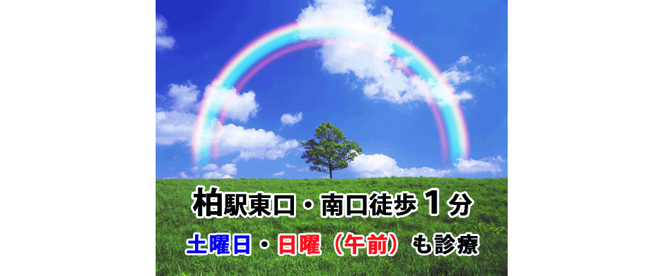 虹