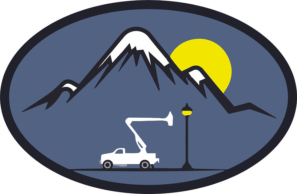 raine electric logo