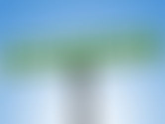 Will Mortgage Broker Customers Need to Pay