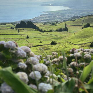 Açores visto do alto