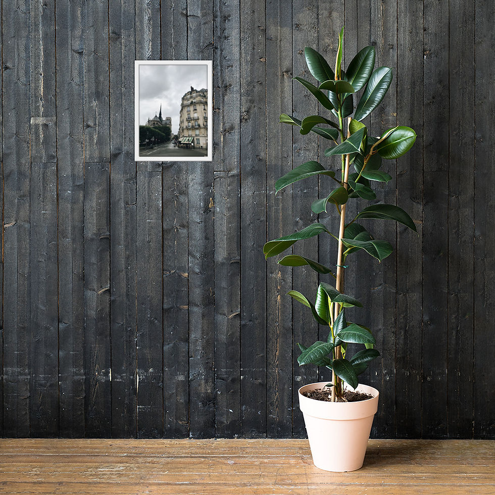 Miniatura: Foto Emoldurada da Notre Dame de Paris