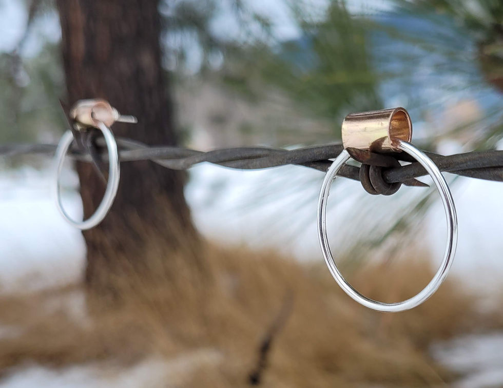 Thumbnail: Silver Hoops