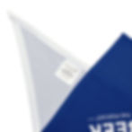 Thumbnail: Pet Bandana-Blue