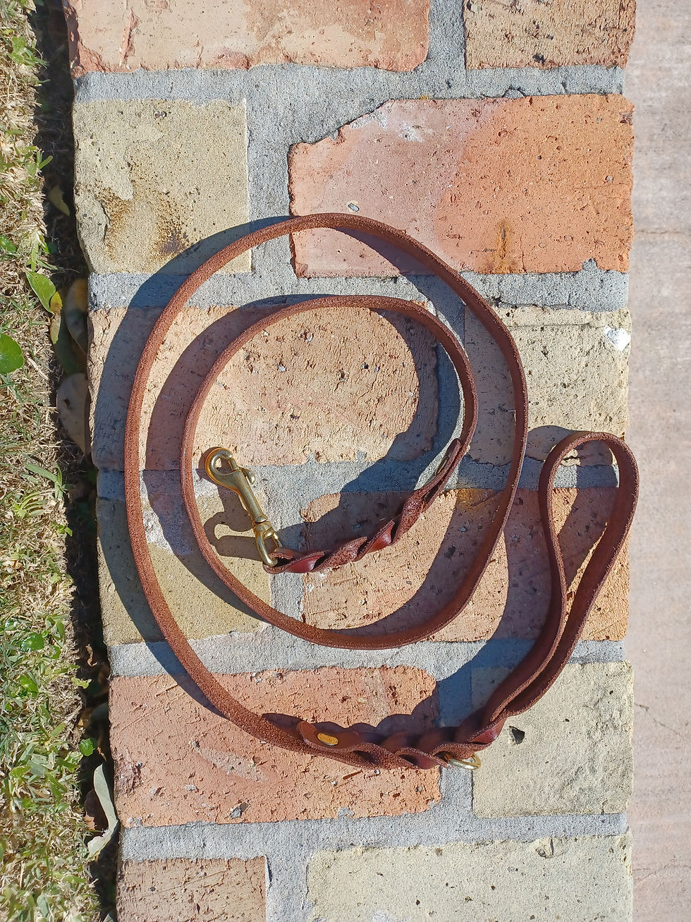 Thumbnail: Braided Leather Leash