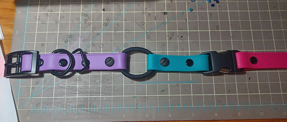 Thumbnail: Thinner 3/4" E-Collar Strap