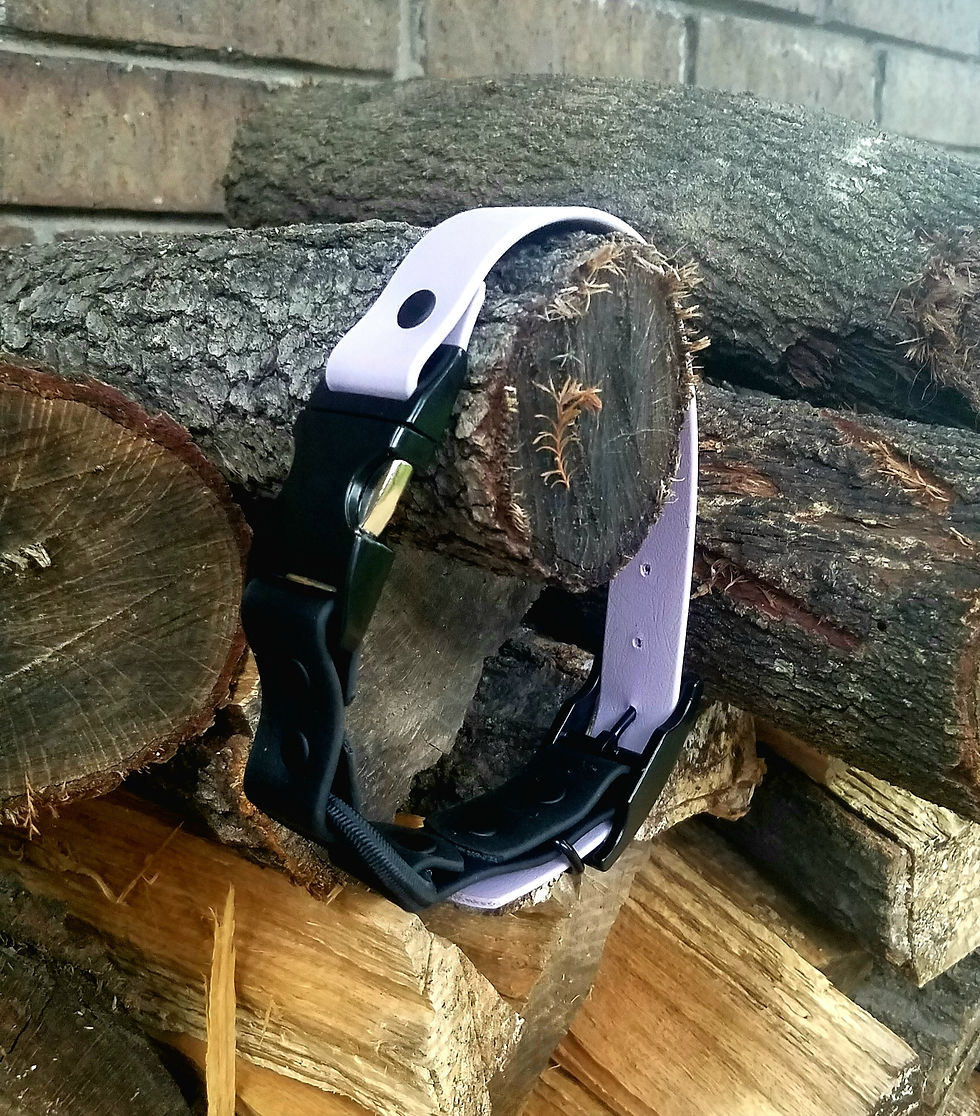 Thumbnail: 1" E-Collar Strap