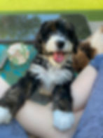 eZy Watermark_18-05-2021_10-28-37AM