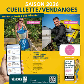 Vendanges & Cueillettes : la saison dès le mois d'Août !