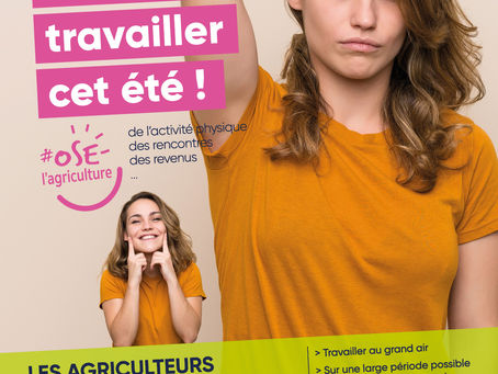 Jobs d'été 2024, c'est parti !