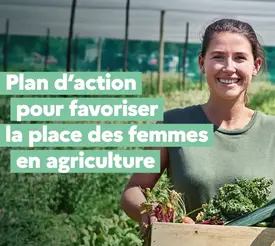 Plan d’action pour favoriser la place des femmes en agriculture