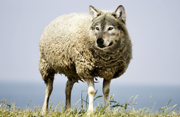 What Imposter Syndrome Feels Like