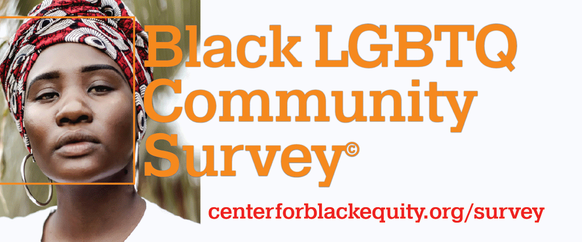 LGBTQ Survey.gif
