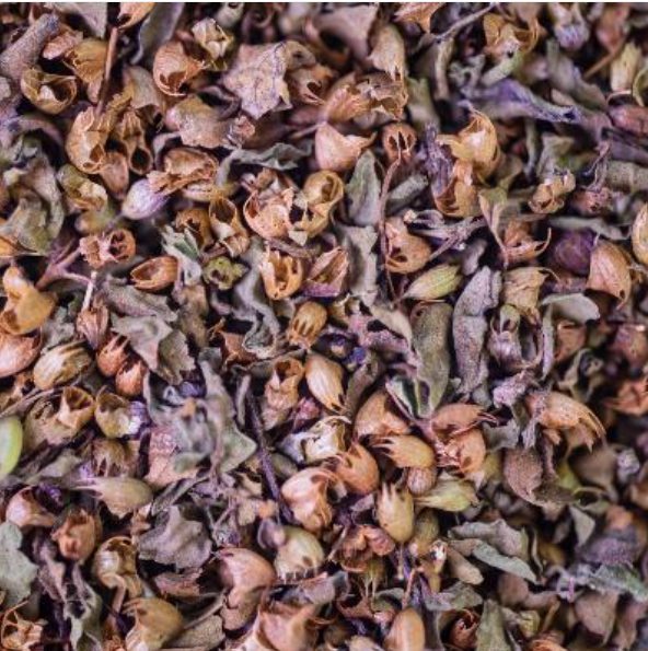 Basilic Tulsi (parties aériennes)