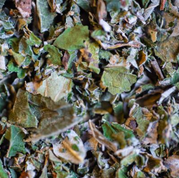 Framboisier (feuilles)