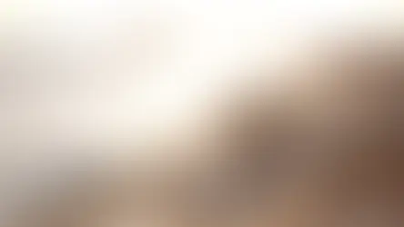 Reflections on Refractions