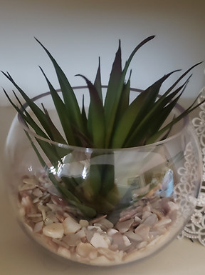 Small Round Clear Cup with Fake Green Succulent