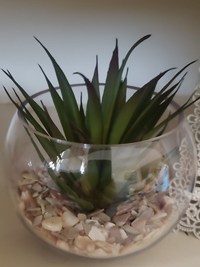 Small Round Clear Cup with Fake Green Succulent