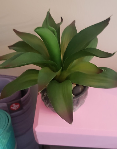 Fake Agave Succulent Pot on top of yoga blocks, top view