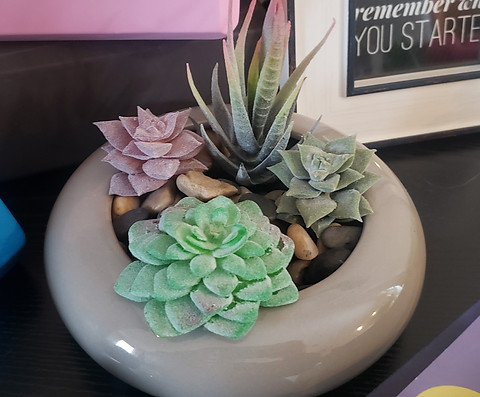Small Gray Round Pot with Four Small Fake Succulents, top view