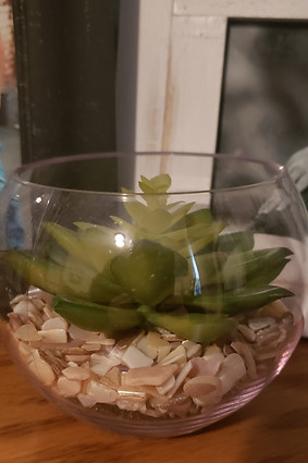 Small Round Clear Cup with Fake Green Succulent, side view