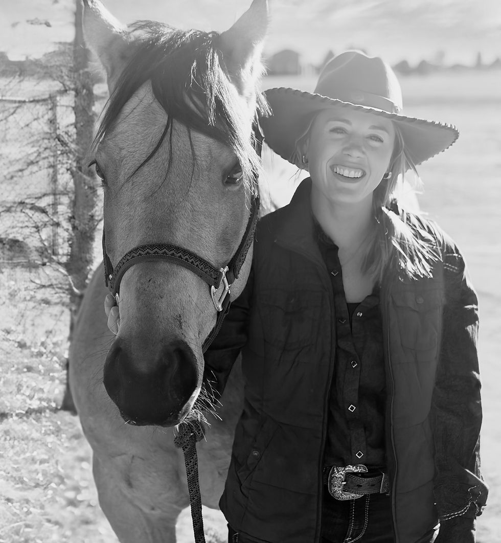 Thumbnail: Stride to Strength Equine Body Conditioning Program