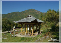 Siberian kittens for sale, сибирские