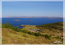 Siberian kittens for sale, сибирские