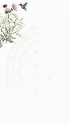 3.gif