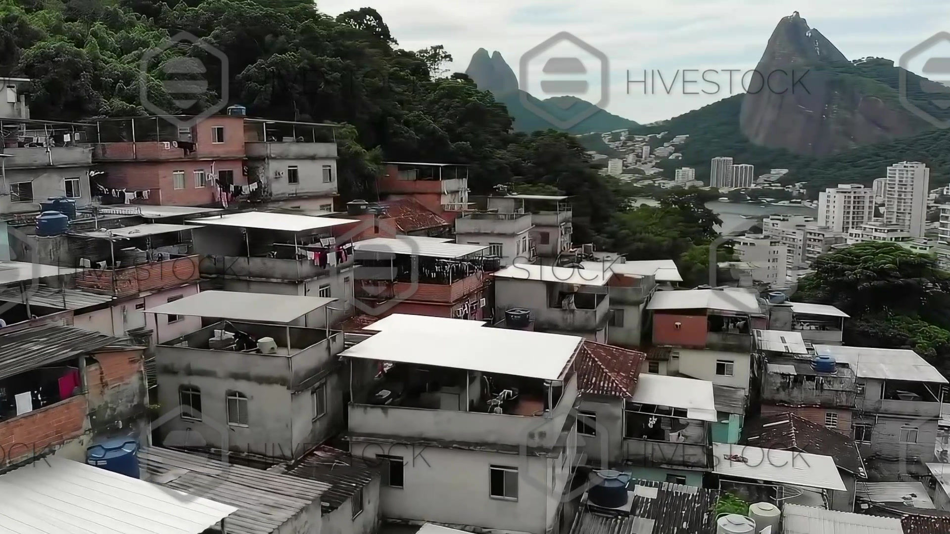 Hivestock_Drone vista aérea favela