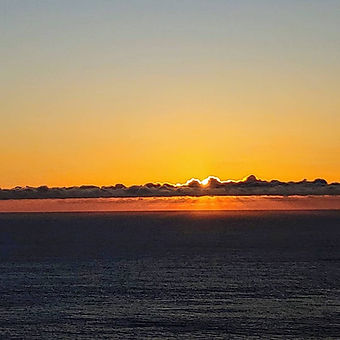 WhatsApp Image 2026-01-22 at 11.14.04 (2).jpeg