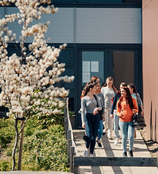 Chatting after Class