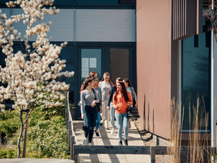 美本录取揭秘:女生申STEM更有优势?抓住“性别红利”背后的选课铁律